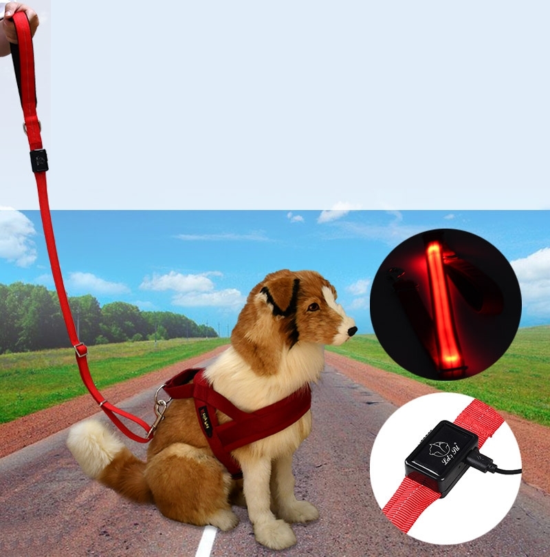 Club Forest 犬用 リード 光るリード Ledライト 充電式 中型犬 大型犬 イヌ ドッグ ペット用品 ペットグッズ 夜間散歩 散歩 シンプル リチウム